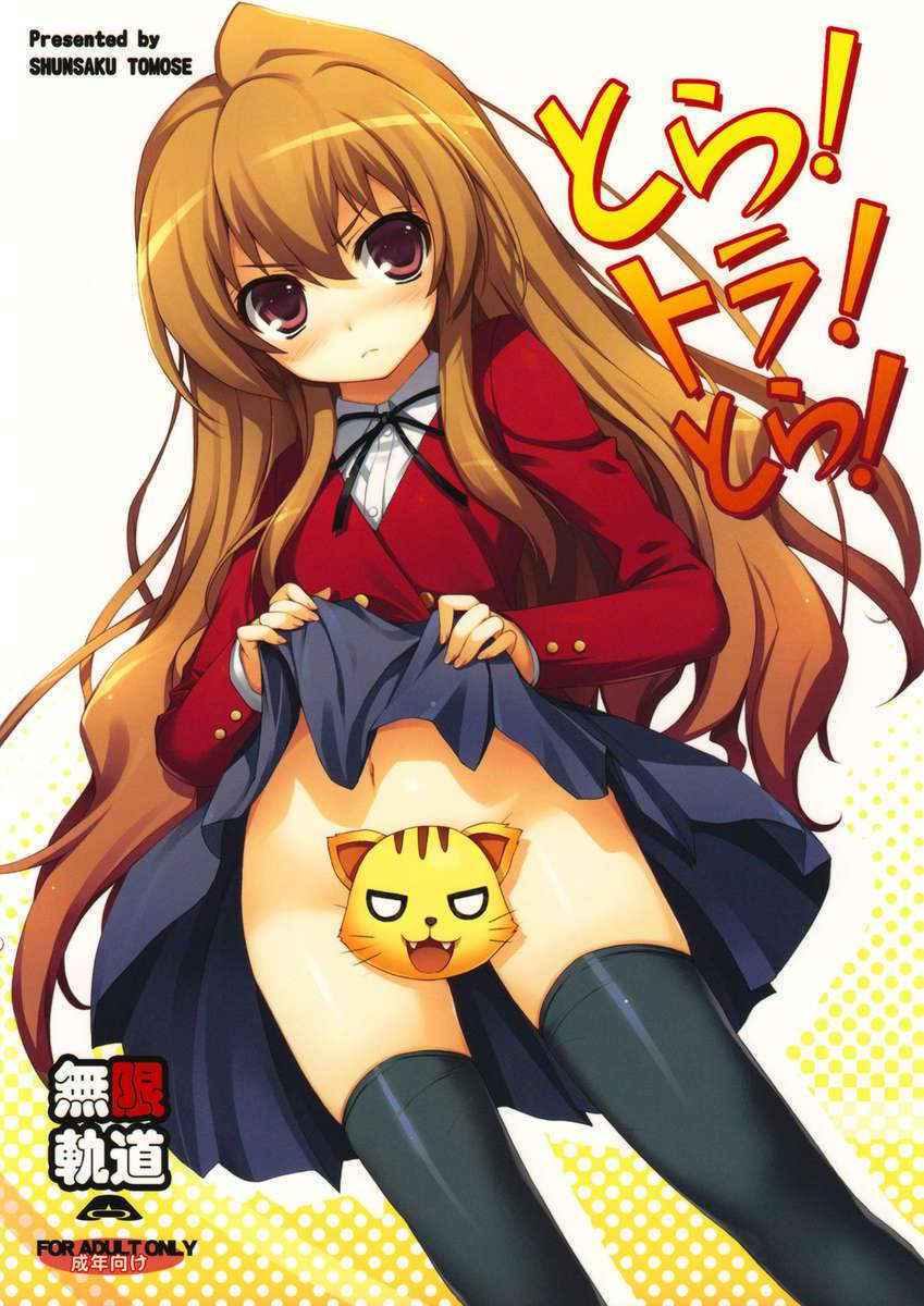 (C75) [MugenKiDou A (Tomose Shunsaku)] Tora! Tora! Tora! (Toradora!) [English]