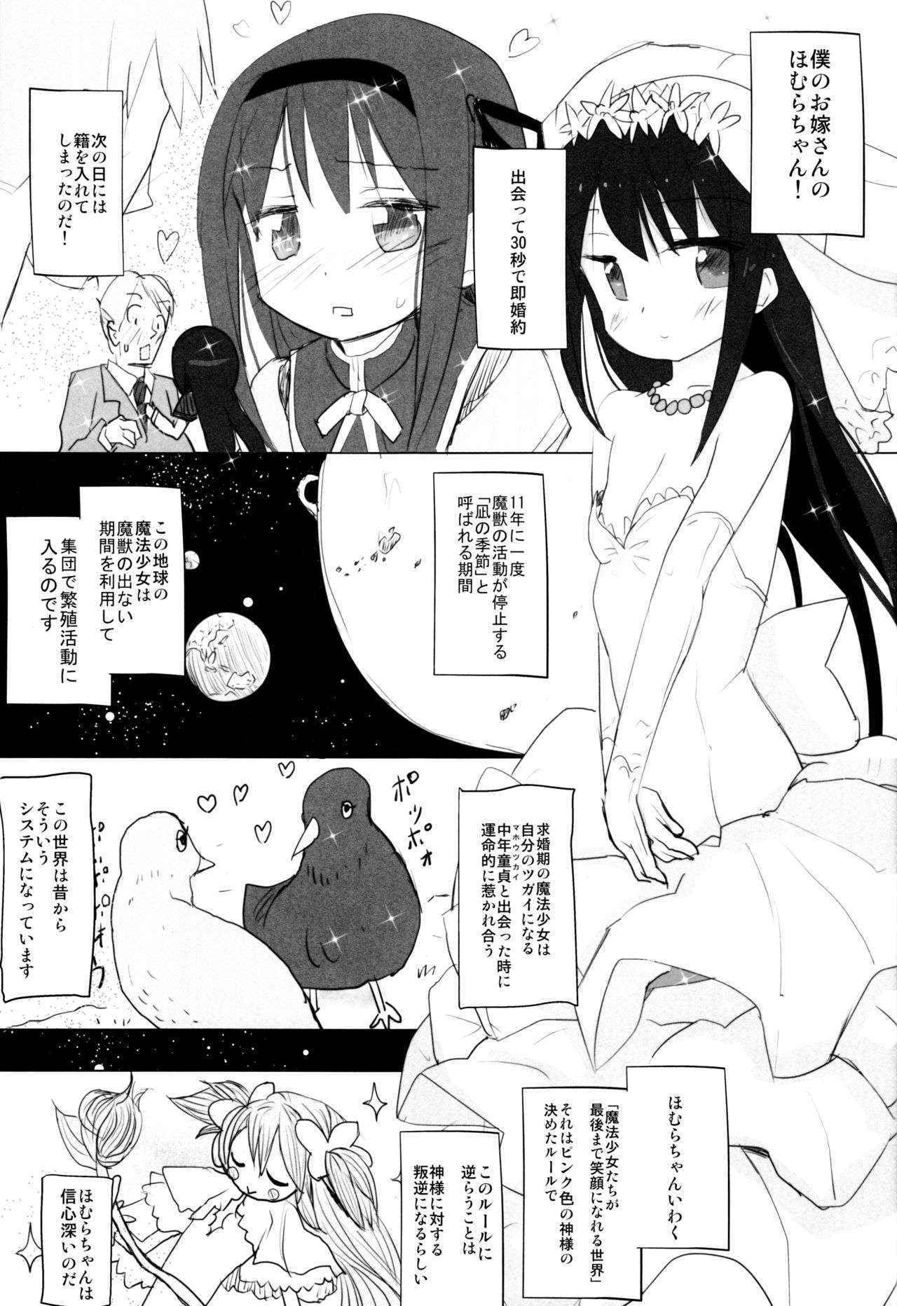 (C88) [Tanpopo (Anshin Mama)] Anata no Koto ga Daisuki na Homura-chan to Iku Shuudan Roshutsu Shinkon Ryokou Hawaii!! (Puella Magi Madoka Magica)