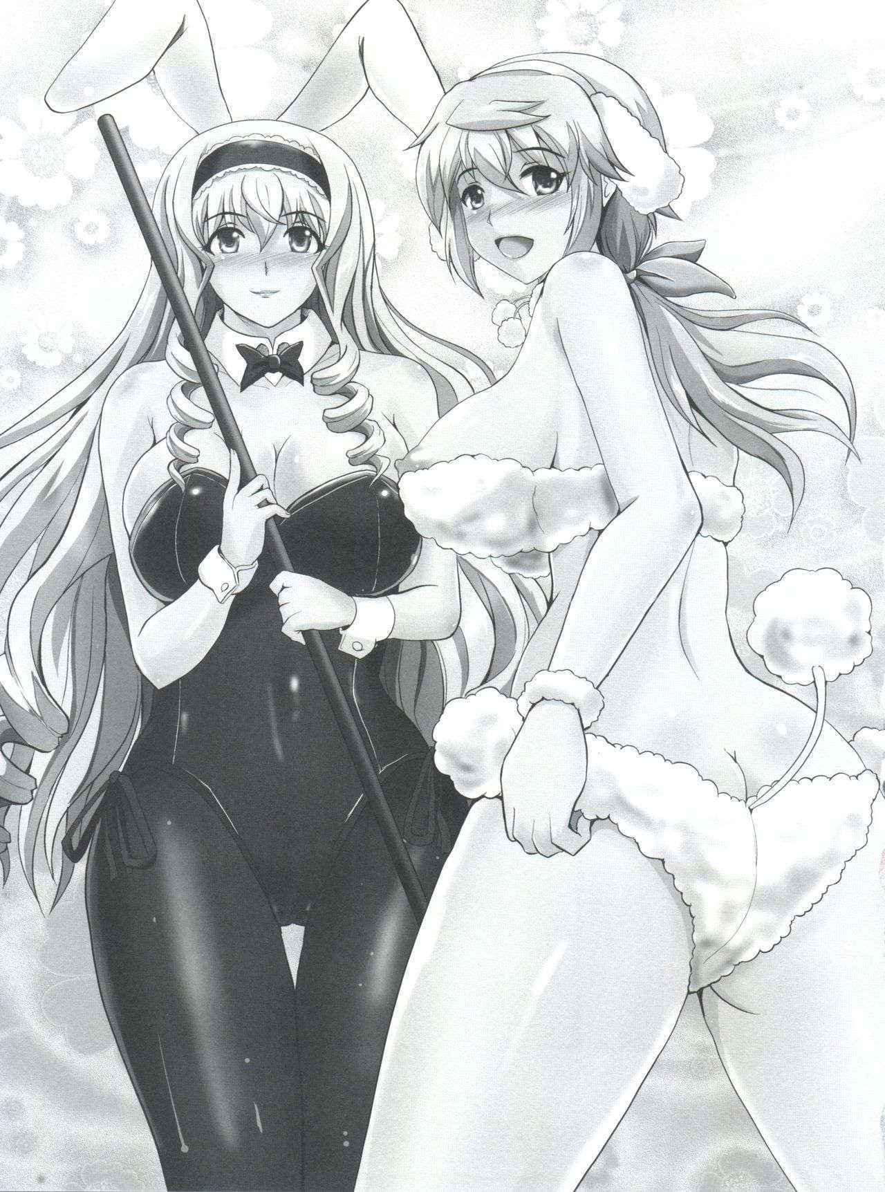 (C85) [Shouchuu MAC (Hozumi Kenji)] Poodle & Bunny Time (Infinite Stratos)