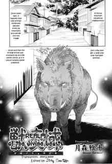 [Masato Tsukimori] Realms of the Divine Beasts (English)