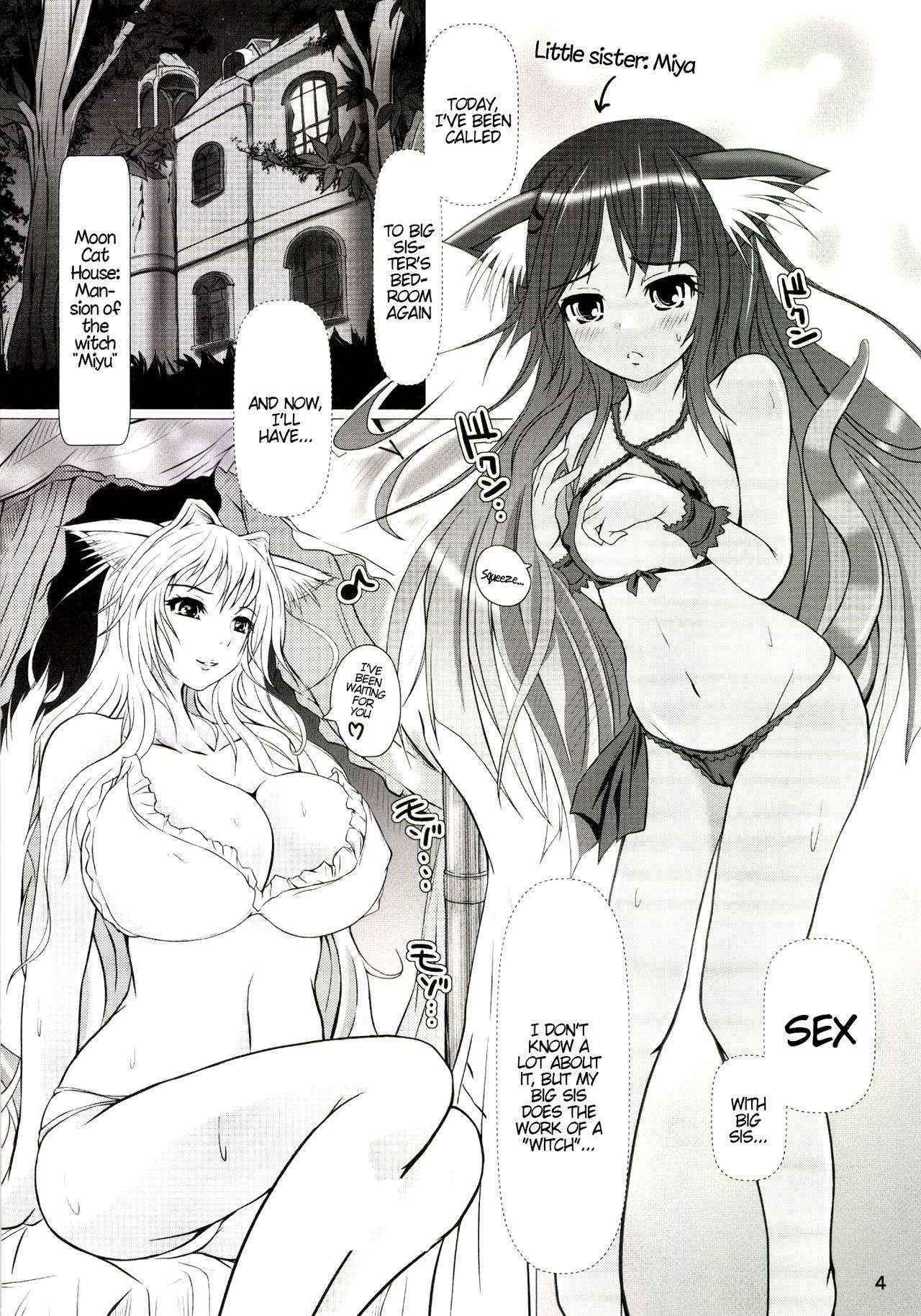 [Nekonote Shobou (Nekonta)] Wet Sisters [English]