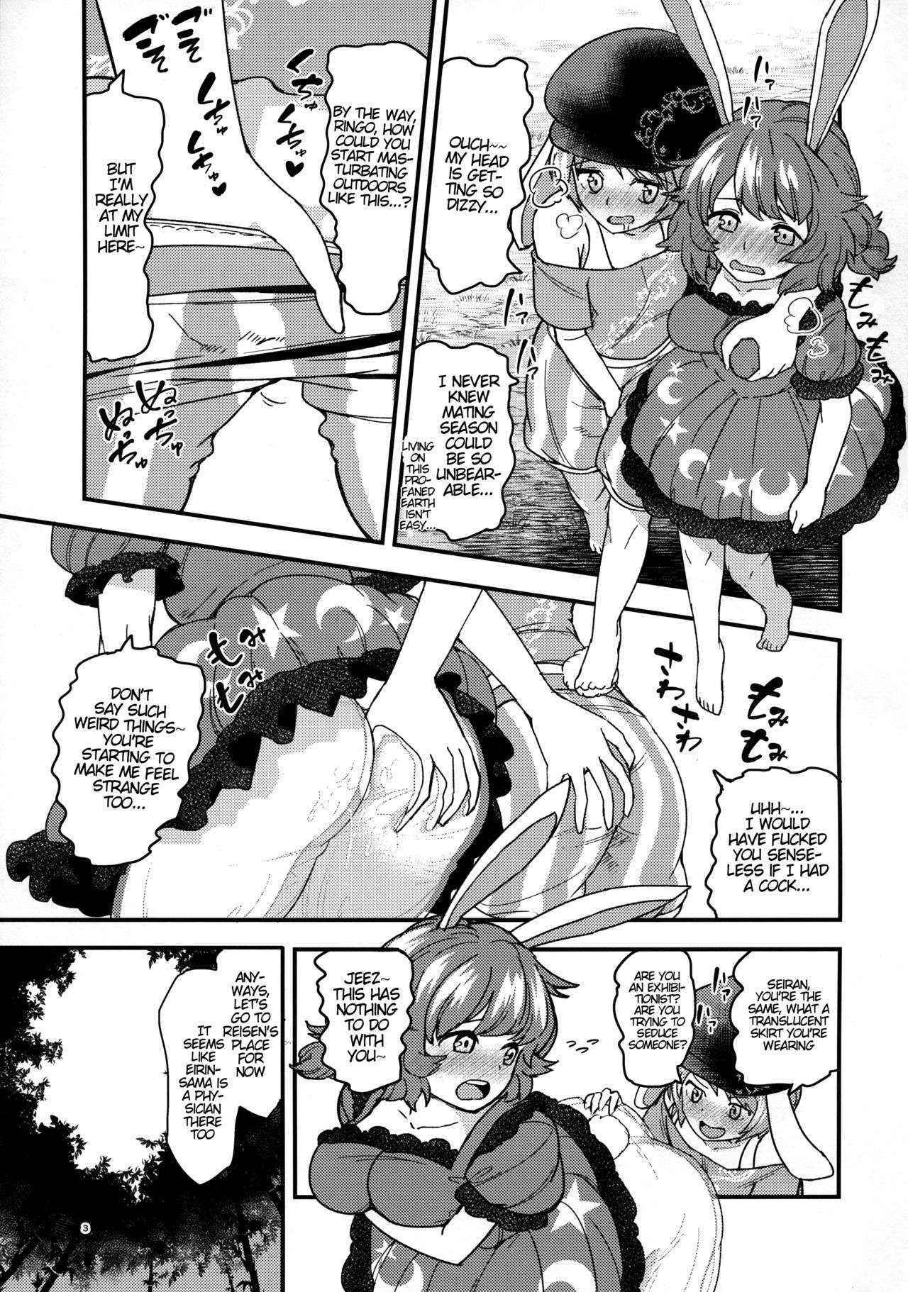 (Reitaisai 13) [Komorikiri. (Urin)] Usagi Usagi Nani Mite Haneru | The Bunnies Won't Stop Hopping (Touhou Project) [English] {Hennojin}