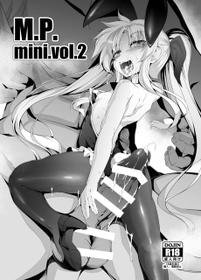 [FishBone (Hujinon)] M.P.mini vol.2 (Mahou Shoujo Lyrical Nanoha) [Digital]