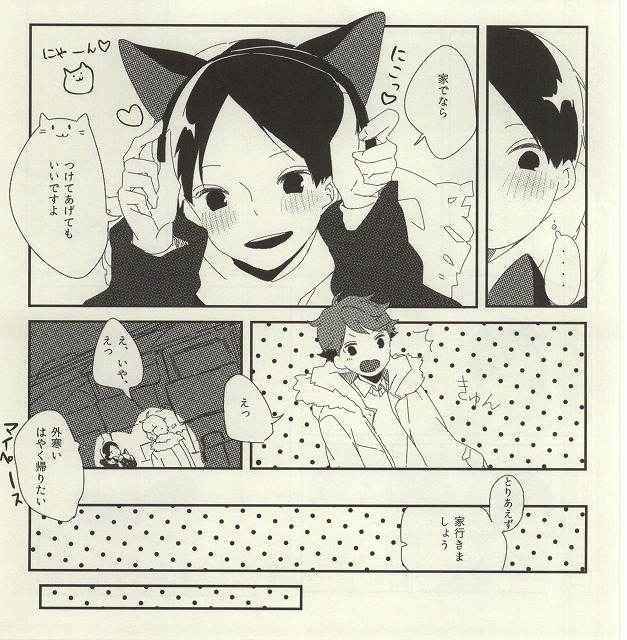 うちのねこさま (Haikyuu!!)