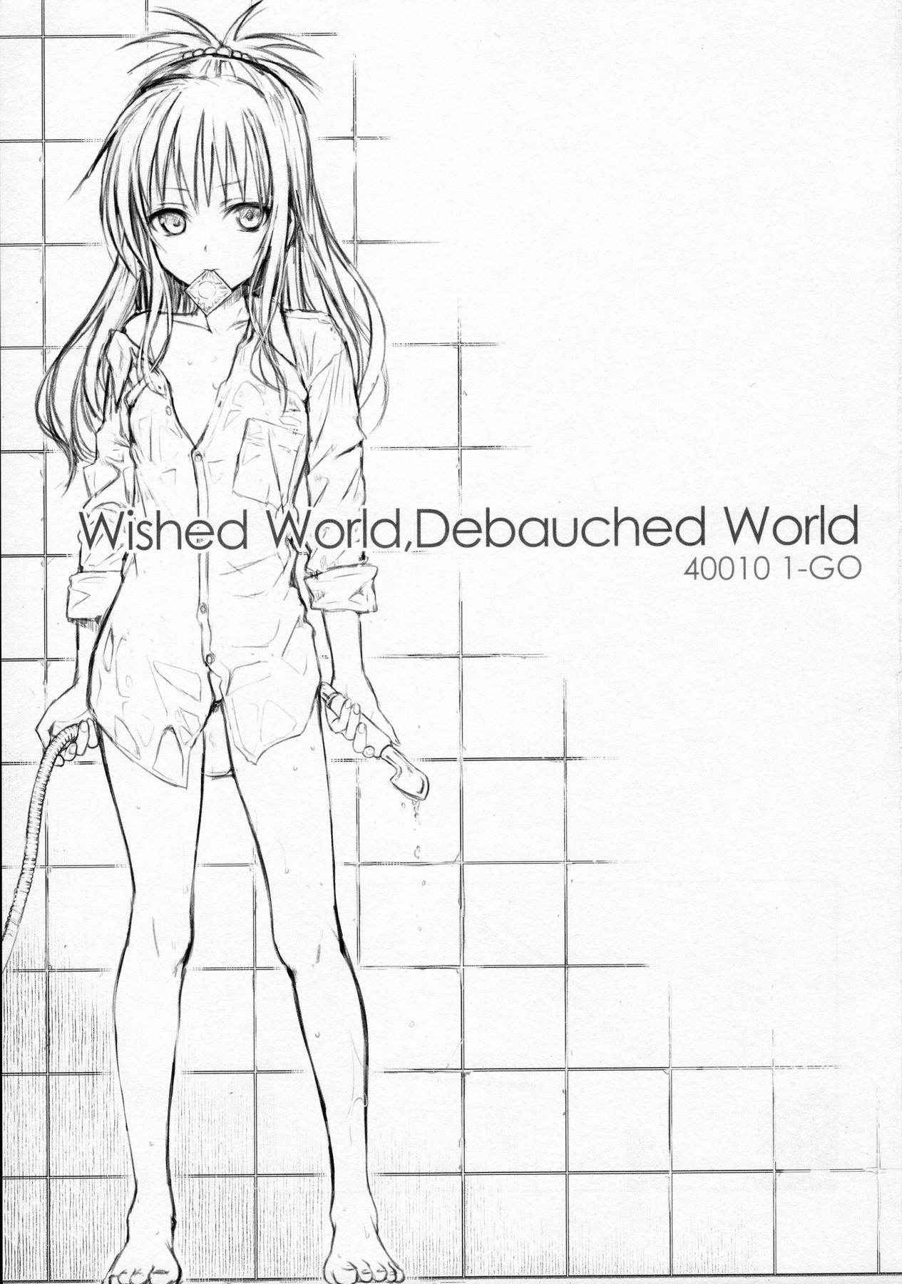 (C91) [40010 1-GO (Shimanto Shisakugata)] Wished World,Debauched World (To Love-Ru)