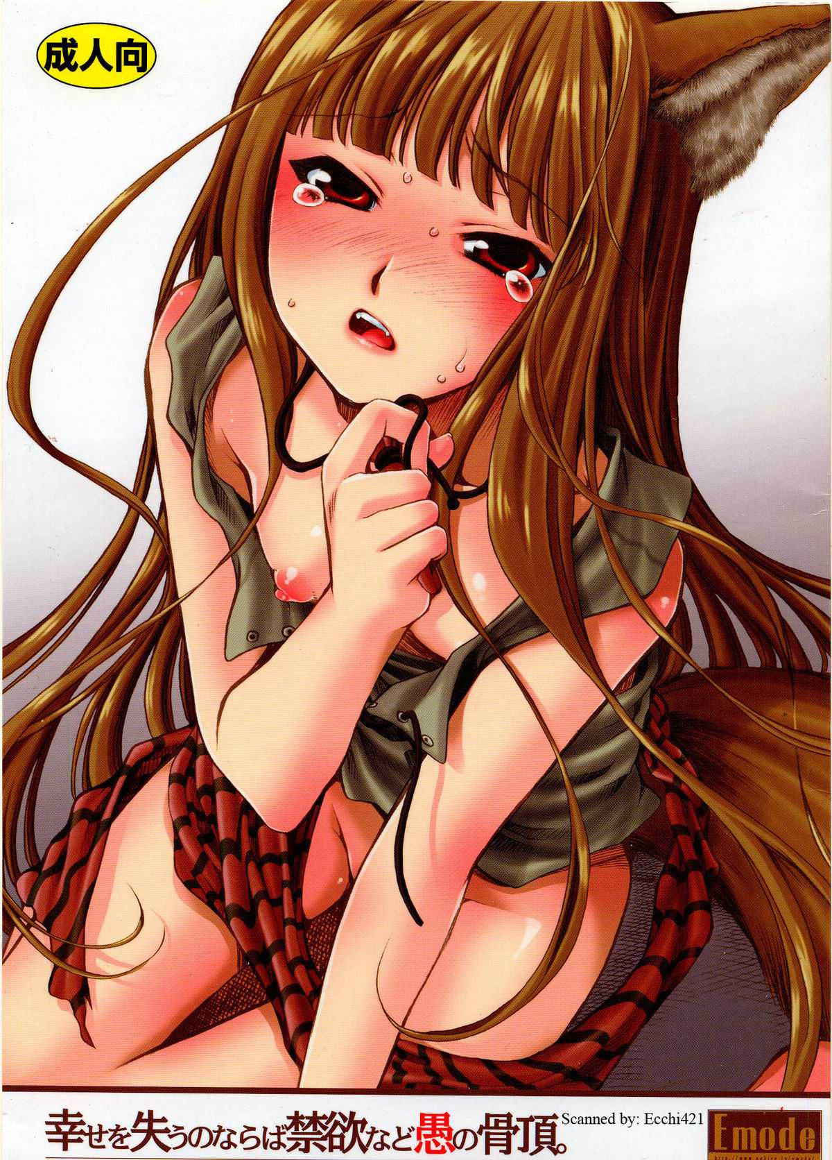 (C72)[Emode (Sanada Rin)] Shiawase wo Ushinau Naraba Kinyoku Nado Gu no Kocchou (Ookami to Koushinryou / Spice and Wolf)