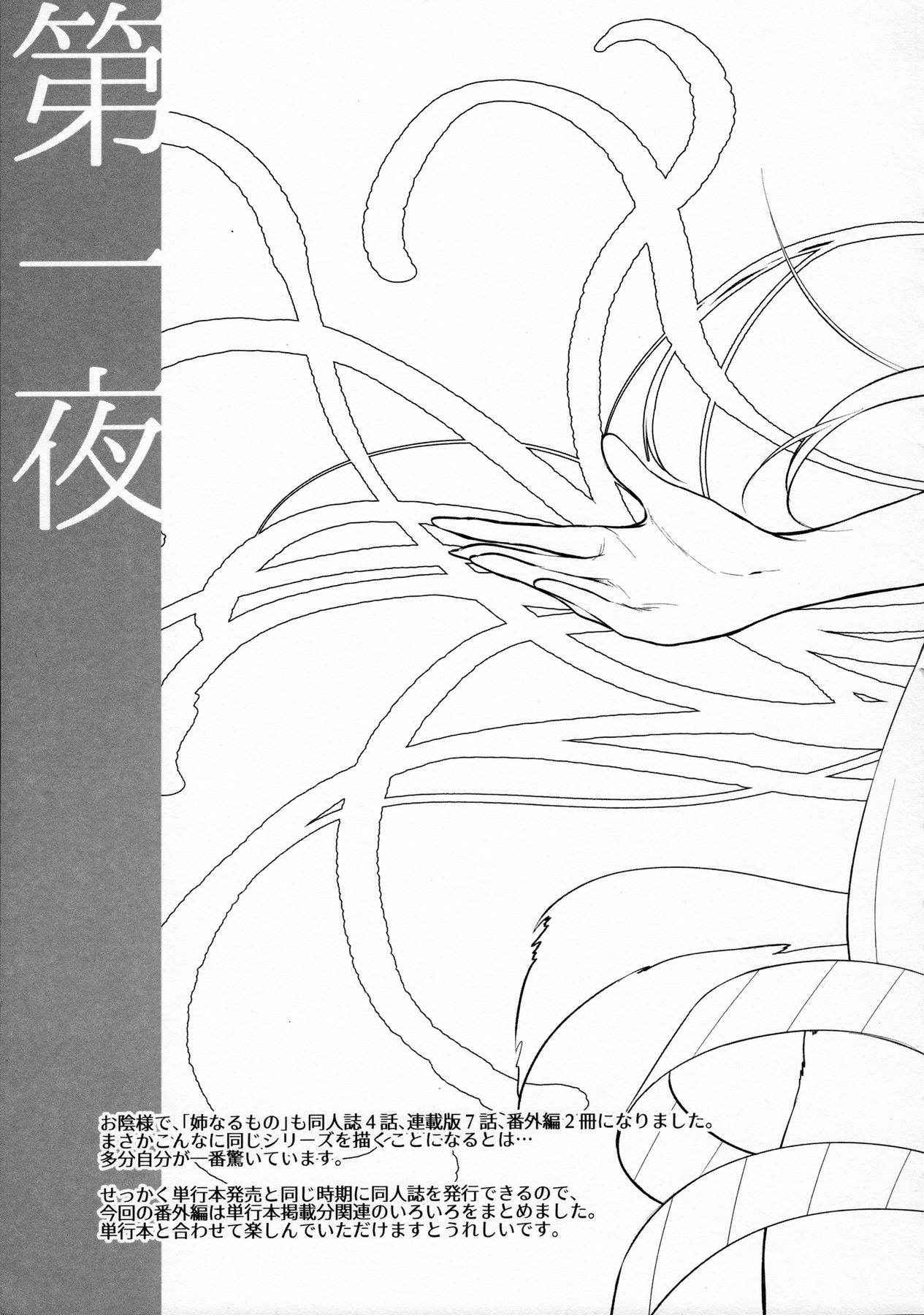 (C91) [Pochi-Goya. (Pochi.)] Ane Naru Mono 4.5 (Ane Naru Mono)