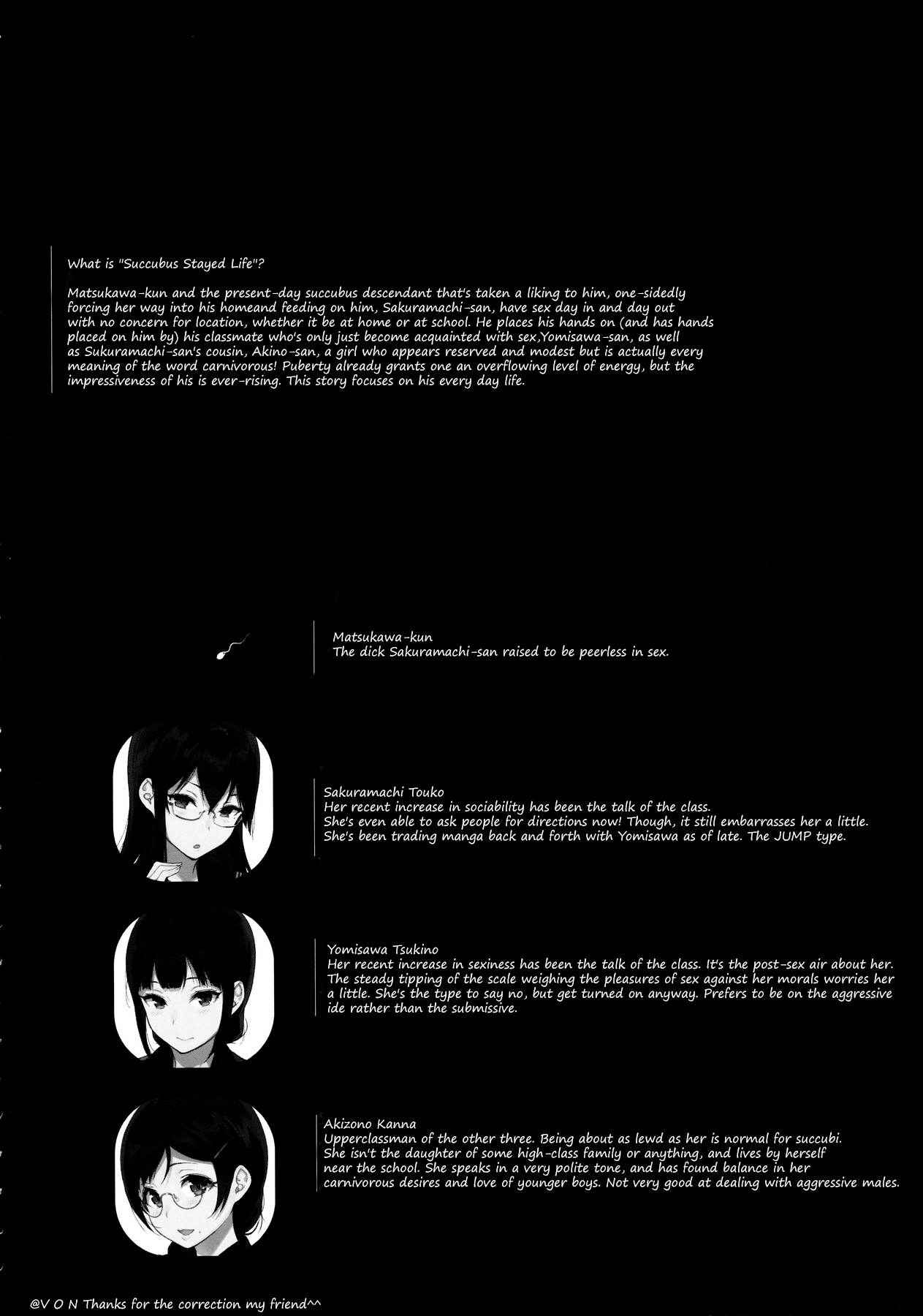 (C90) [NANIMOSHINAI (Sasamori Tomoe)] Succubus Stayed Life 4 [English] [SeekingEyes]