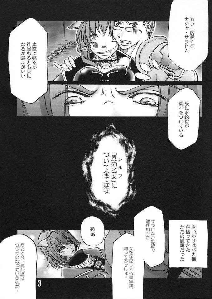 (COMIC1☆2) [Raising Staff (Saegusa Mutsumi)] Flame Out (Final Fantasy XI)