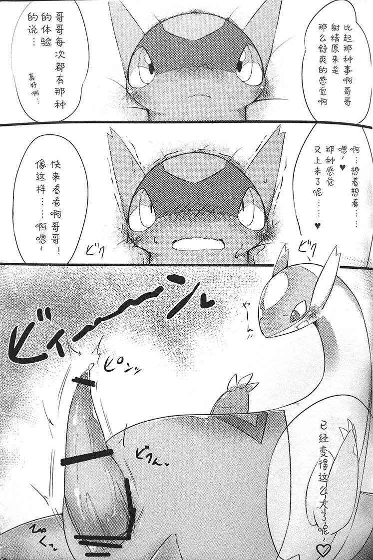 (C90) [Inada Daikon(Konashi)] Imouto wa Ani ni Sakaraenai! (Pokémon) [Chinese] [吵吵动物园汉化组]