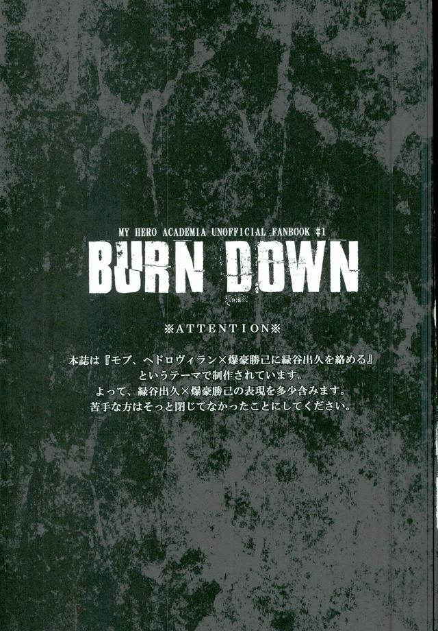 BURN DOWN (My Hero Academia)