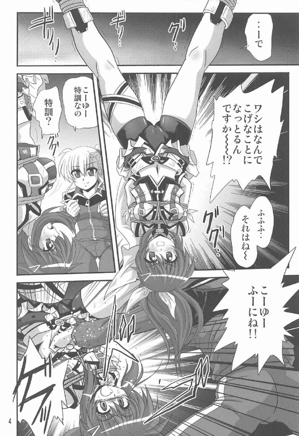 (C91) [Thirty Saver Street (Maki Hideto, Sawara Kazumitsu)] Storage Bind 5 (Mahou Shoujo Lyrical Nanoha)