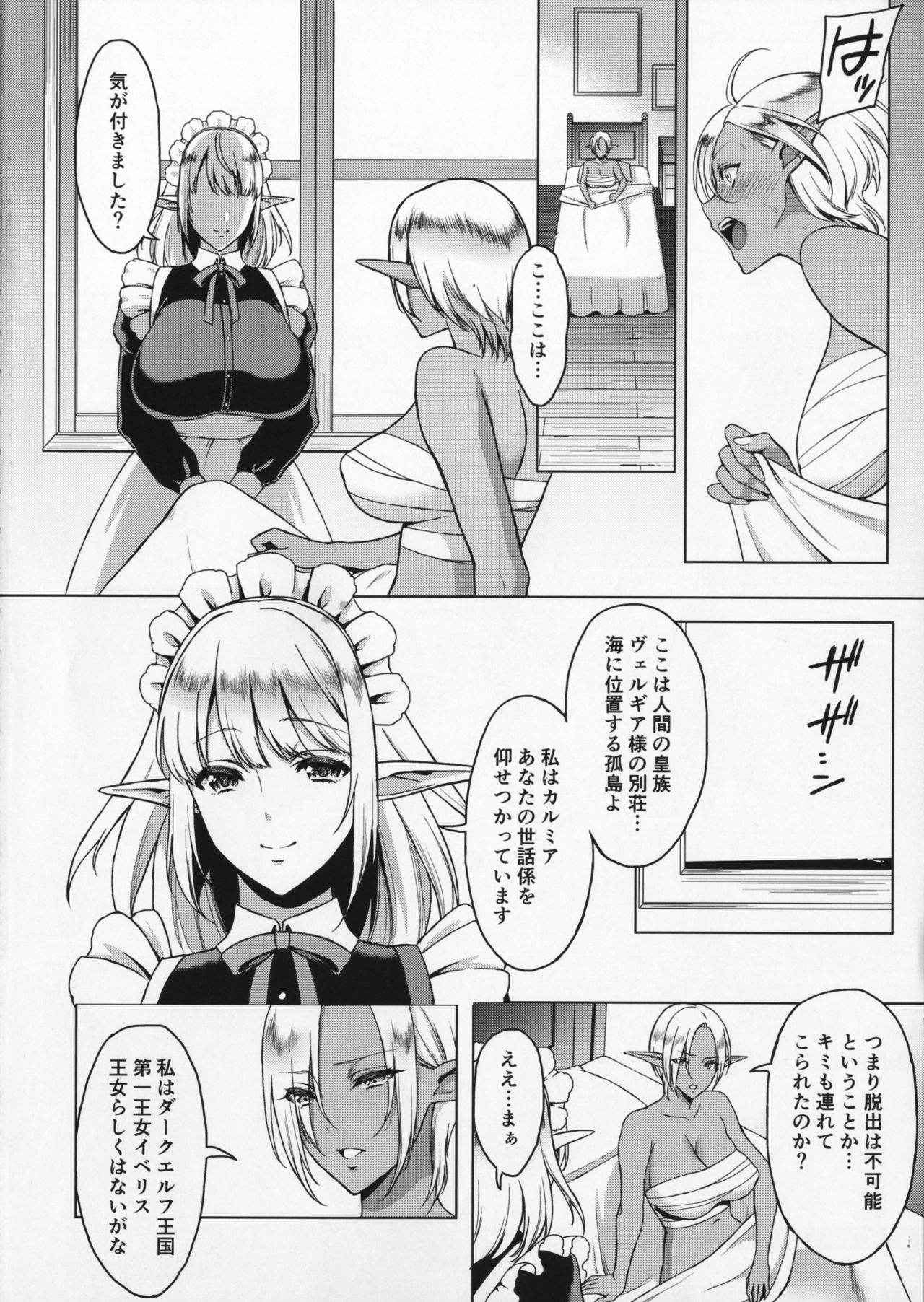 (C91) [H.B.A (Usagi Nagomu)] Reizoku Elf Maid + C91 Kaijou Genteibon