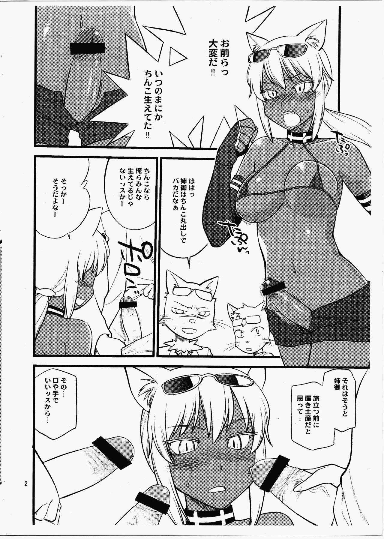 (C82) [Hinemosuan (Hinemosu Notari)] Kasshoku Nekomimi Chinpotsuki (Kaiten Mutenmaru)