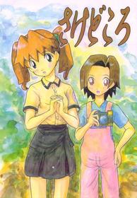 Sakedokoro (medabots)