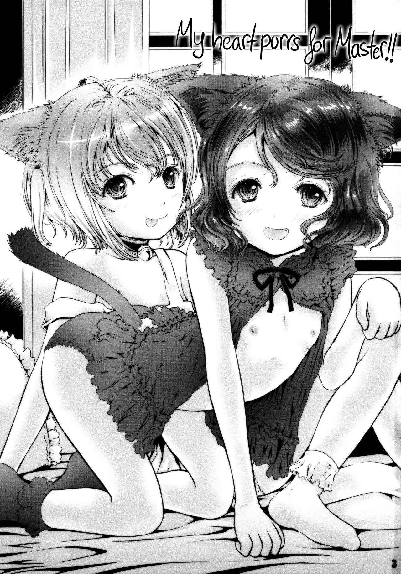 (C88) [Shiawase Manjuu (Shiawase 1500)] Nyan Nyan Daisuki!! [English] [Rin]