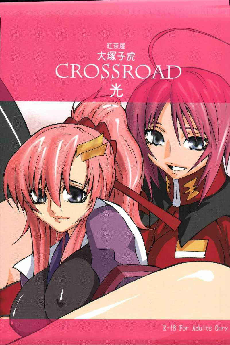 [Kouchaya] crossroad Hikari (Kidou Senshi Gundam SEED DESTINY / Mobile Suit Gundam SEED DESTINY)