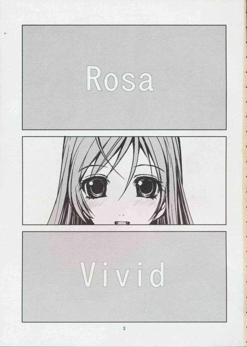 [Rosario+vampire][Rosa vivid][Jp]