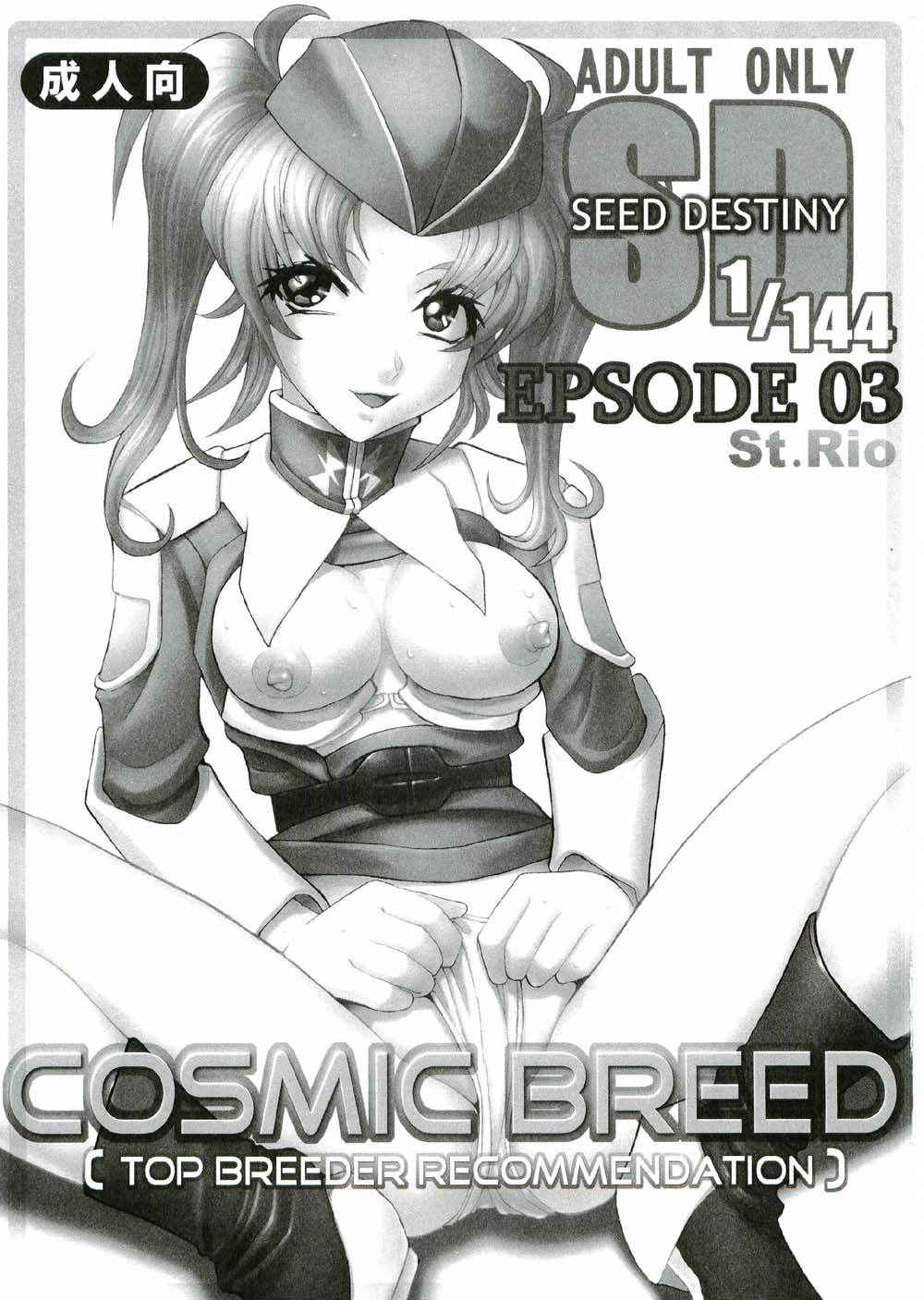 [ST.RIO] COSMIC BREED 3