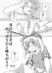 (C91) [Chicken Union (Nanamoto)] Tsuki no Usagi wa Yappari Hito Aji Chigau? (Touhou Project)