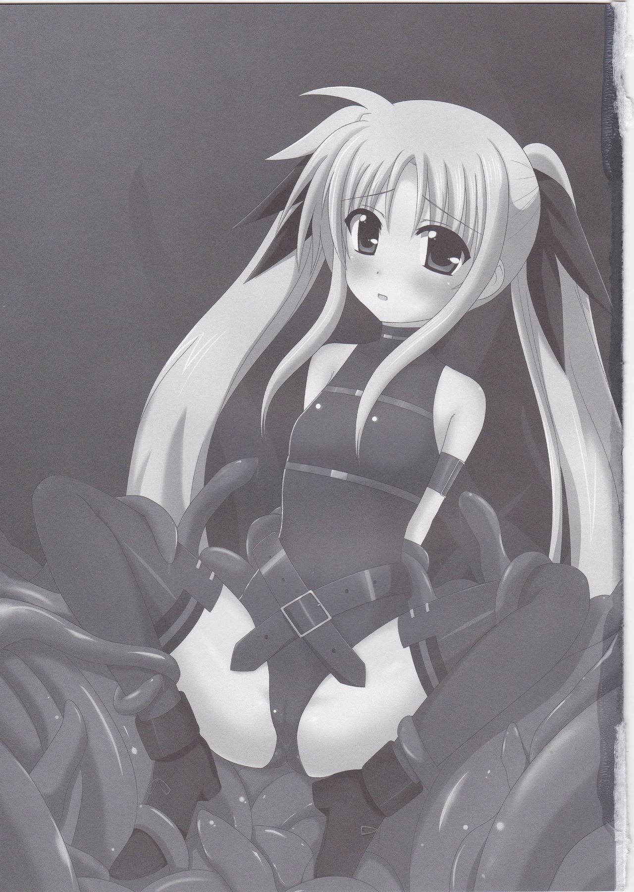 (C78) [Daidai Koubou (Daidai)] Ingoku Fate (Mahou Shoujo Lyrical Nanoha)