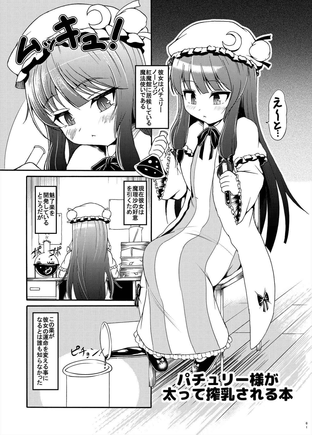 [Gesugao no Heya (Kukuru)] Patchouli-sama ga Futotte Sakunyuu Sareru Hon (Touhou Project) [Digital]