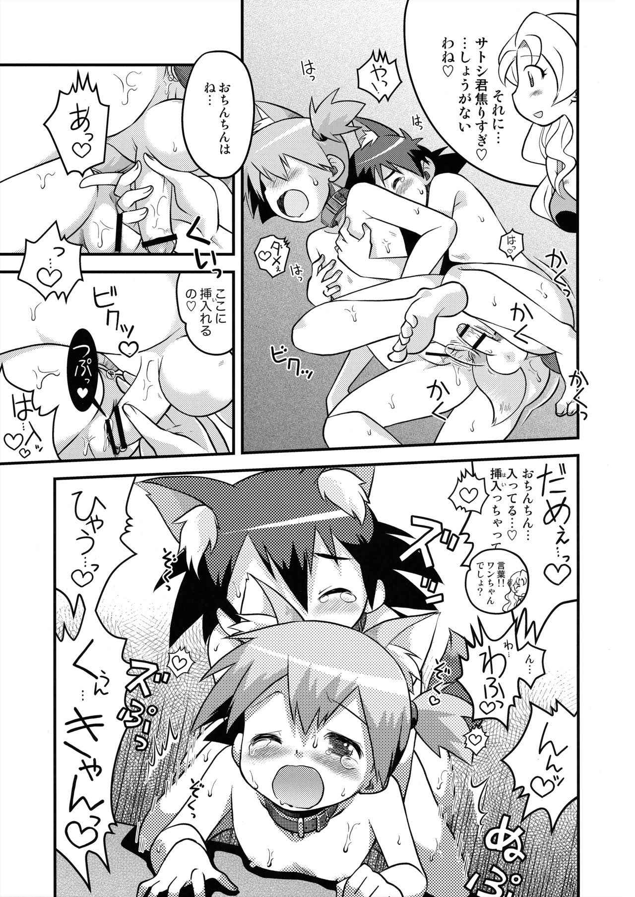 (COMIC1☆11) [Utahime (Izumi Masashi)] Kasumi no Wanwan Friends (Pokémon)