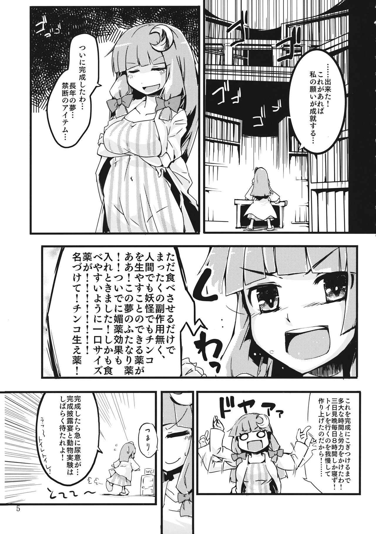 (Reitaisai 12) [Namayake. (Harry)] Chinko Haeru Hon (Touhou Project)