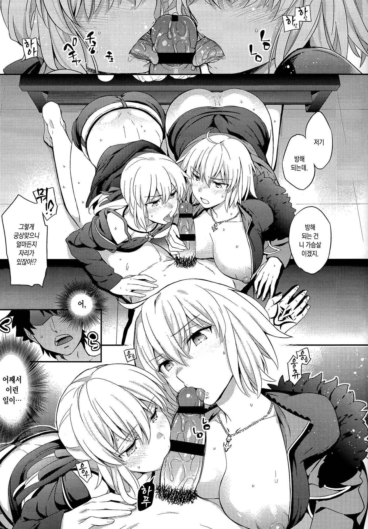 (COMIC1☆11) [Crazy9 (Ichitaka)] C9-29 W Alter-chan to (Fate Grand Order) [Korean]