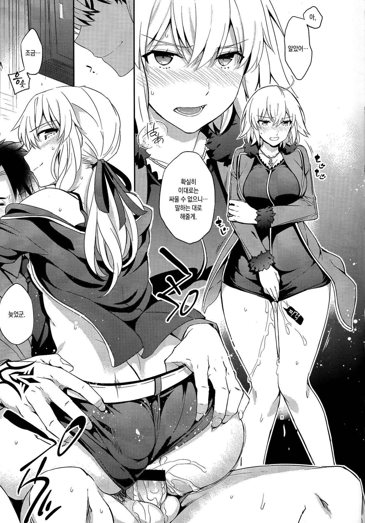 (COMIC1☆11) [Crazy9 (Ichitaka)] C9-29 W Alter-chan to (Fate Grand Order) [Korean]