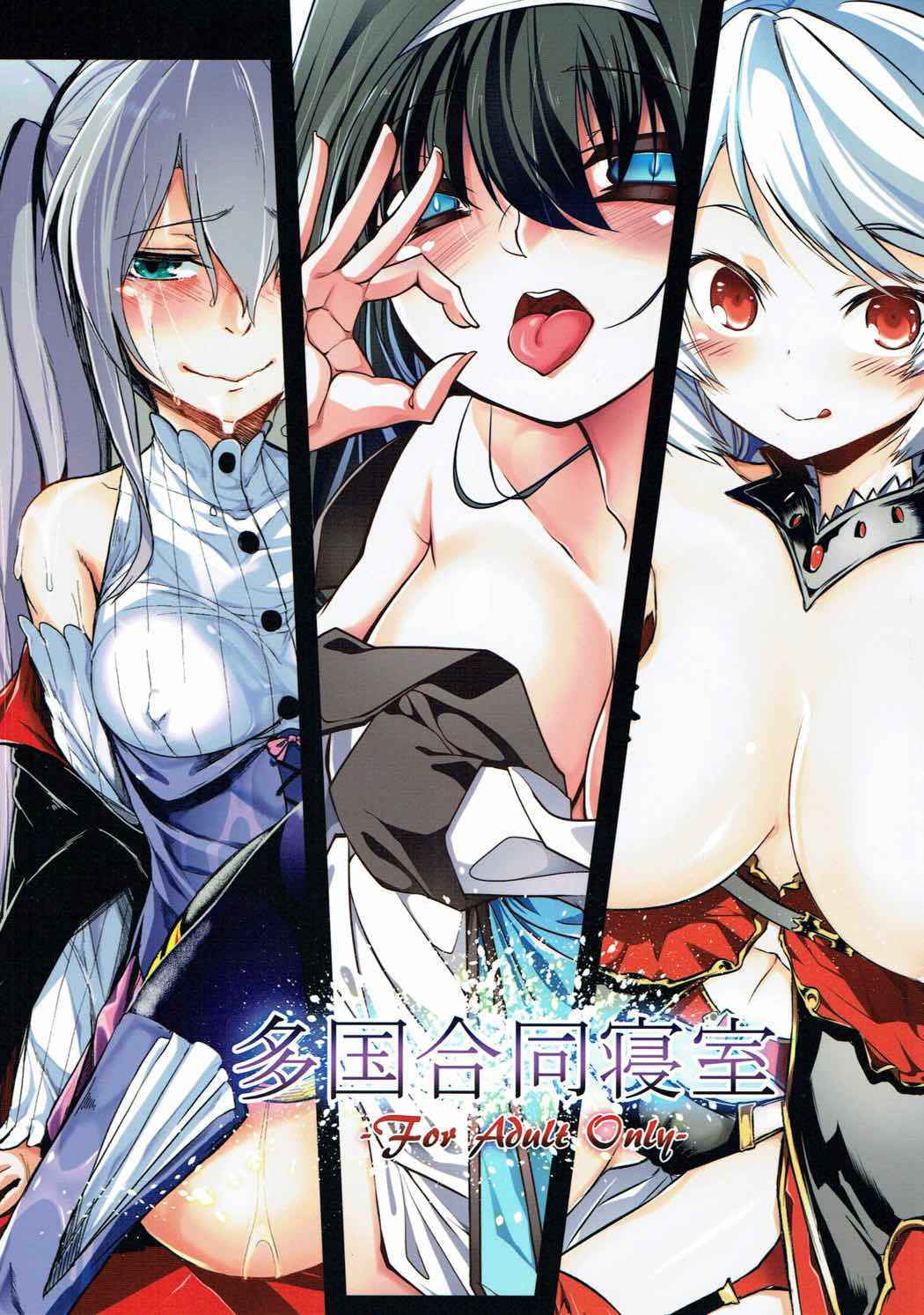 (Dondon Wareru no desu... Ouji) [LeNotre (Various)] Takoku Goudou Shinshitsu (Sennen Sensou Aigis)