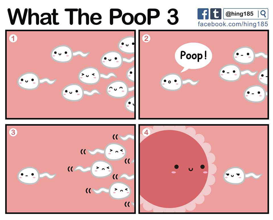 What the PooP [On Going]