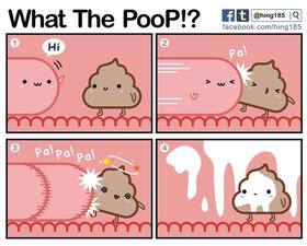 What the PooP [On Going]