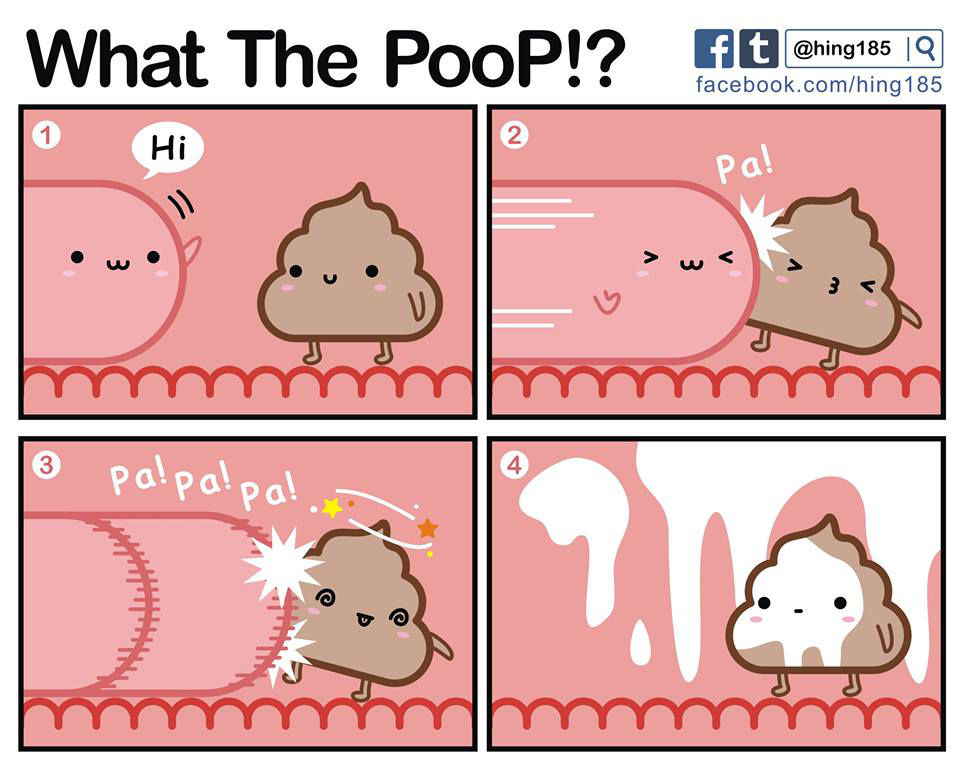 What the PooP [On Going]