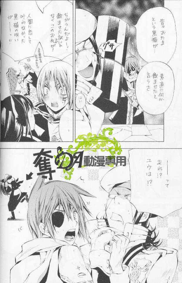 [A.A.O (Shinohara Hana)] Neko no Hon (d.gray-man)