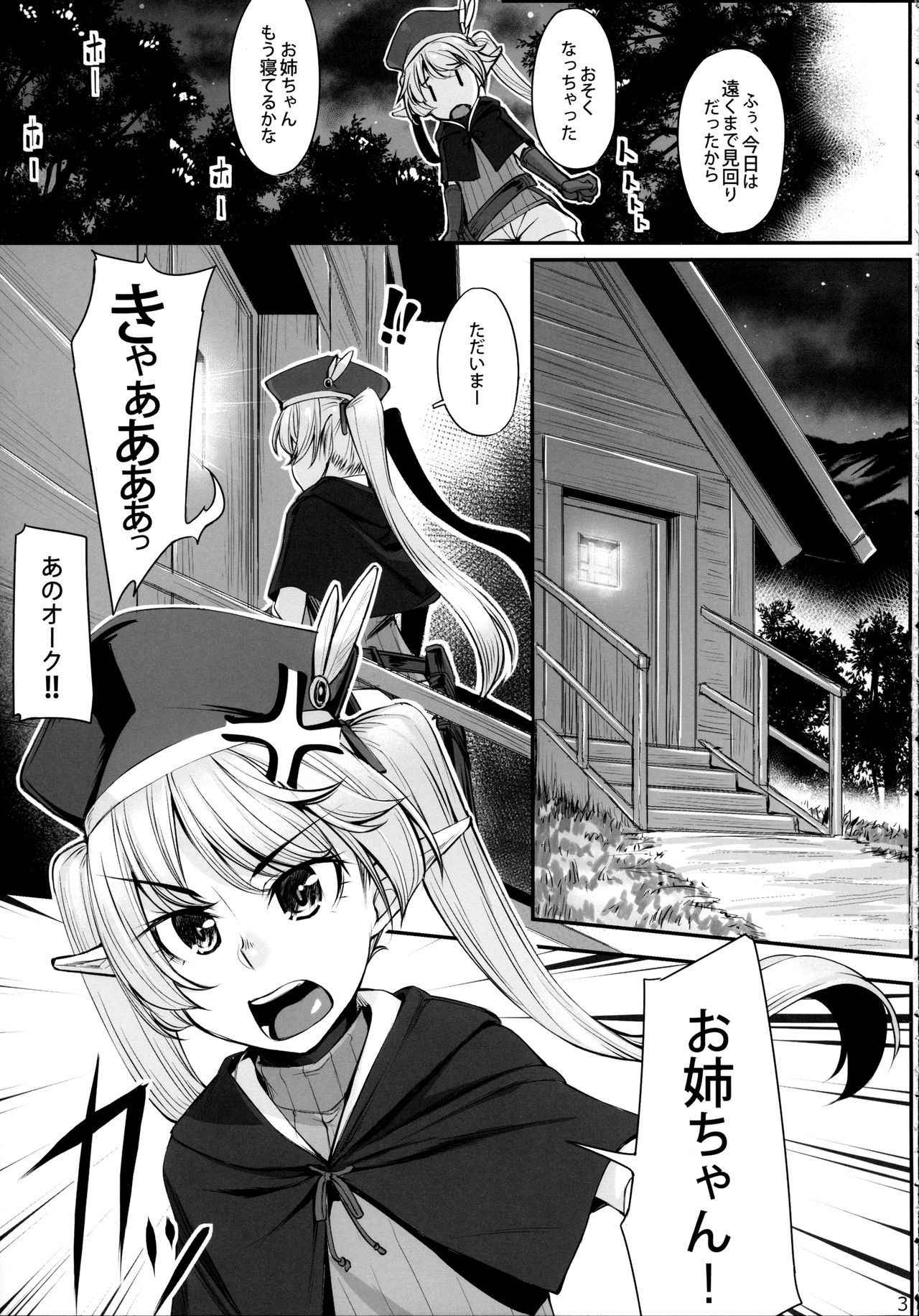 (COMIC1☆11) [Area14 (Kasei)] Elf Shimai to Orc-san