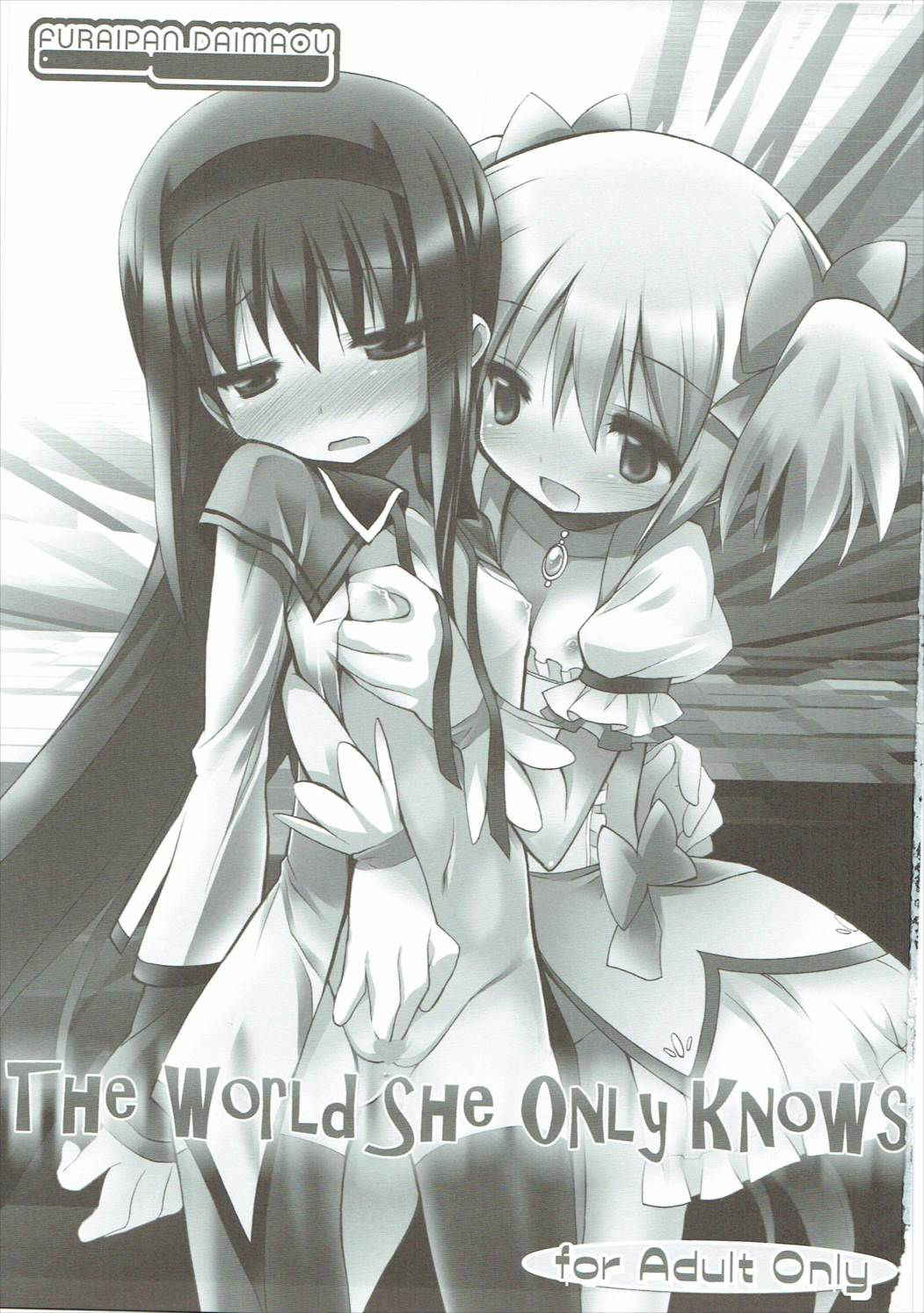 (C80) [Furaipan Daimaou (Chouchin Ankou)] THE WORLD SHE ONLY KNOWS (Puella Magi Madoka Magica)