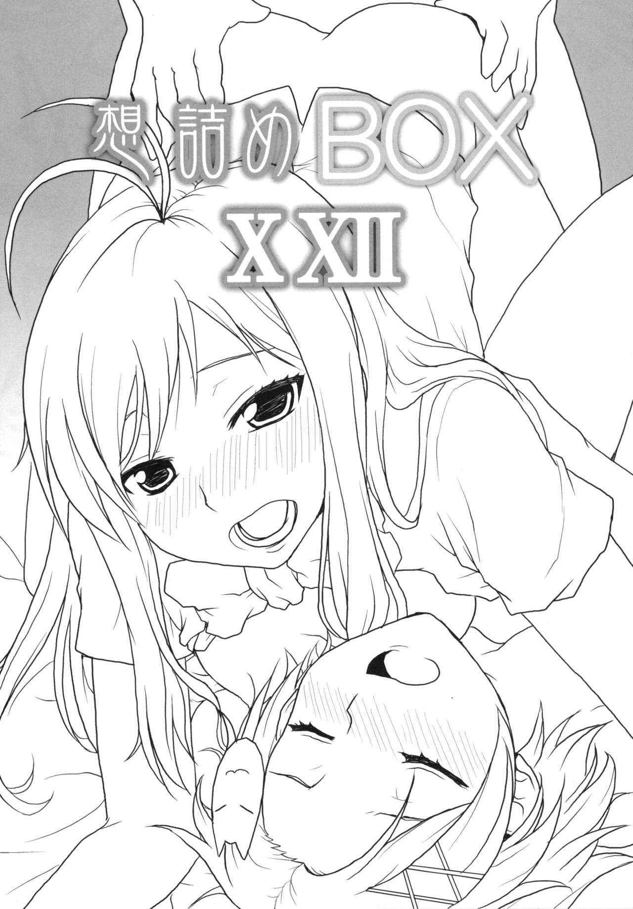 [Omodume (Kushikatsu Koumei)] Sou-dzume BOX XXII (Accel world) [Digital]