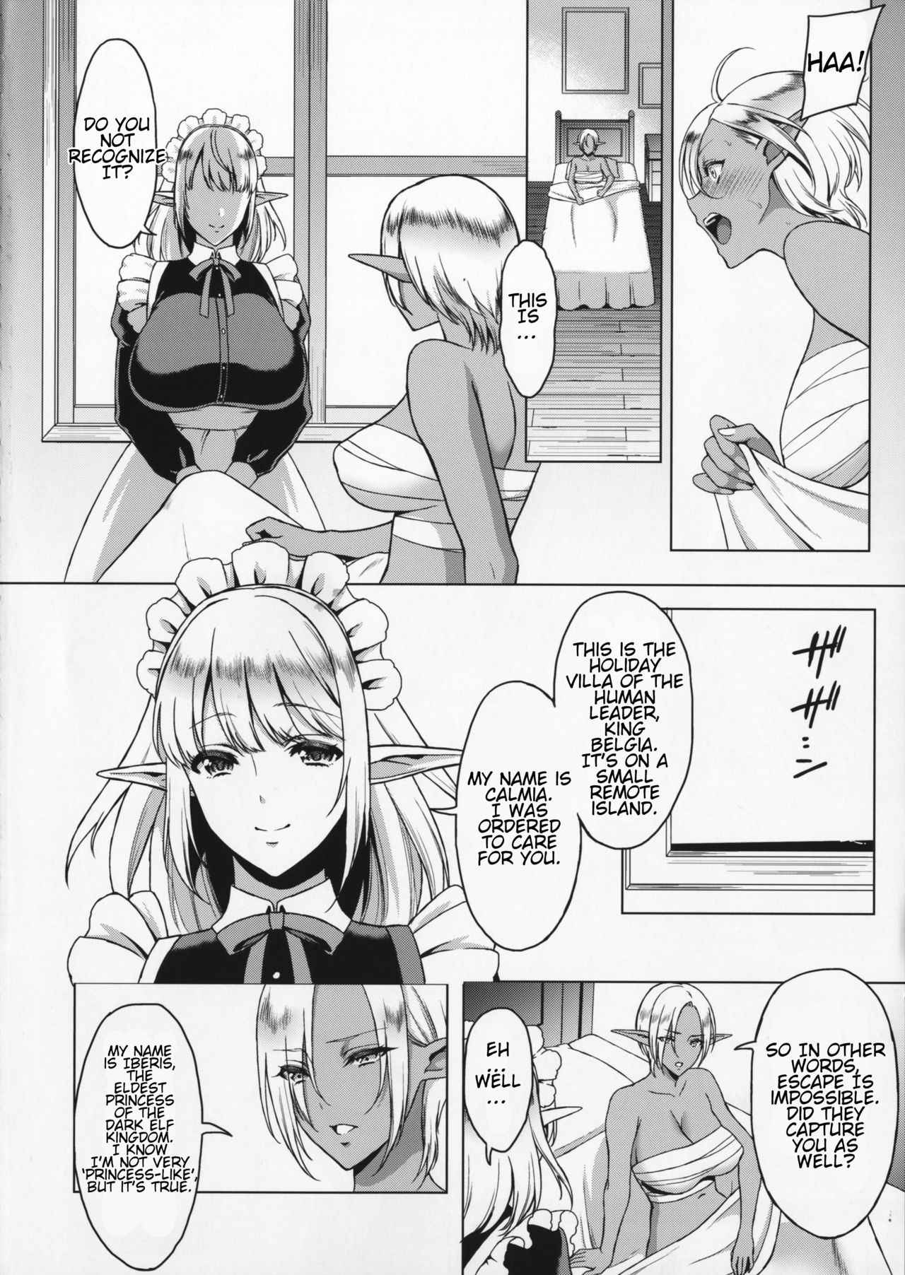 (C91) [H.B.A (Usagi Nagomu)] Reizoku Elf Maid | Elf Maid Slaves [English] [Tremalkinger]