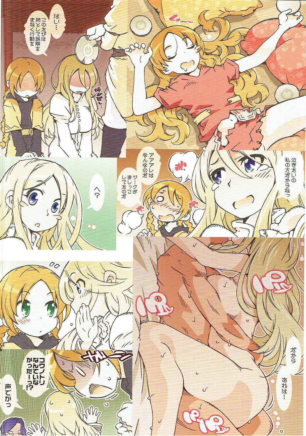 (COMIC1☆11) [OPEN BOOK (Toumi Haruka)] S & HOLY NIGHT (Sword World 2.0)