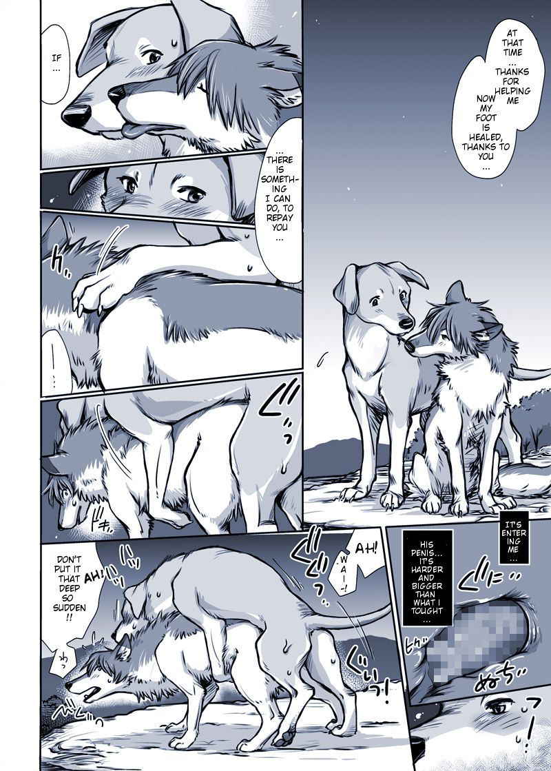 [Souko Souji] Aru Inu no Baai | A certain dog's situation (Ookami Kodomo no Ame to Yuki) [English] [alphya04]