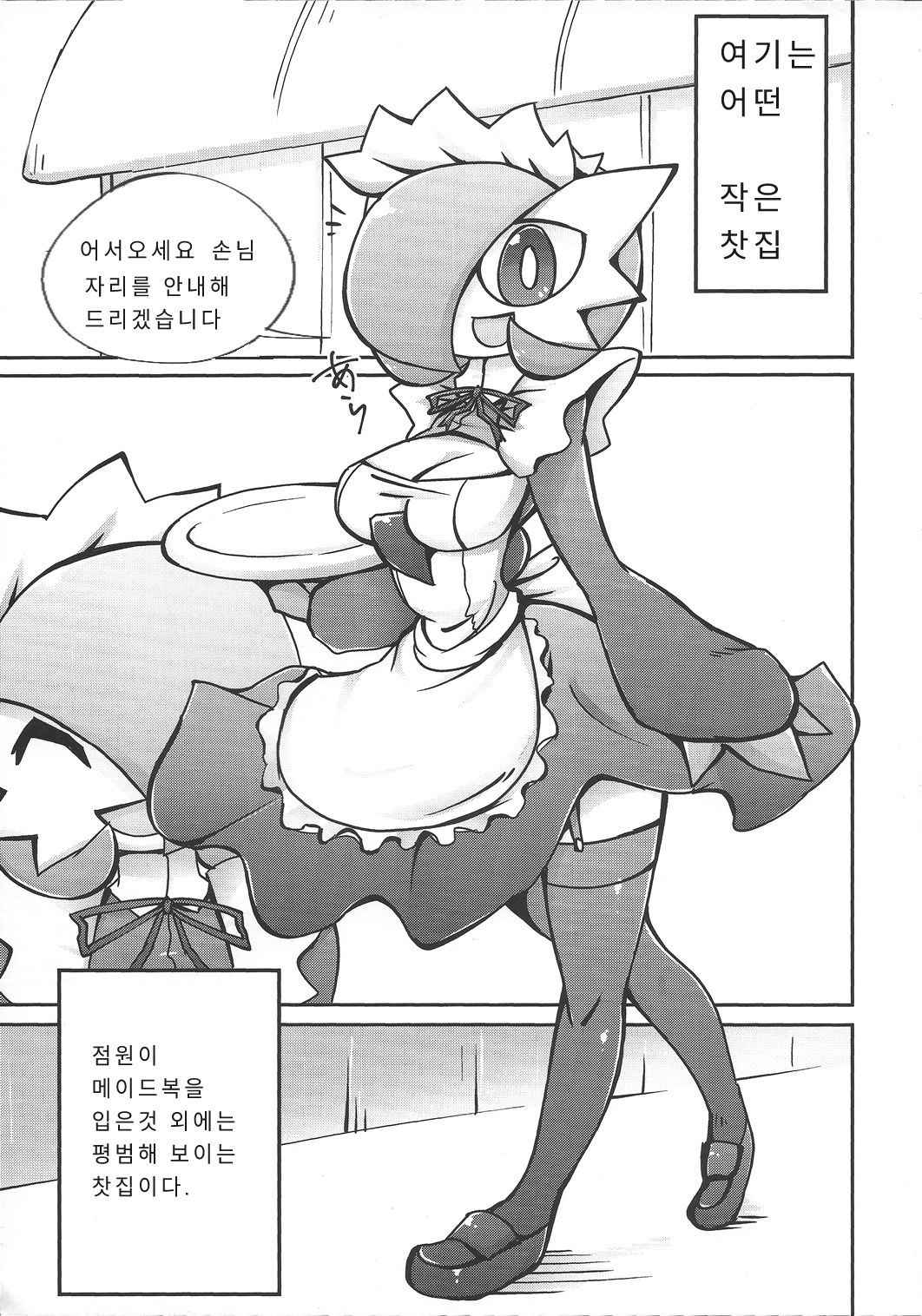 (C90) [Metallic Steel (Ikanomaru)] Suteki na Maid-san no Ura Menu (Pokémon) [Korean]