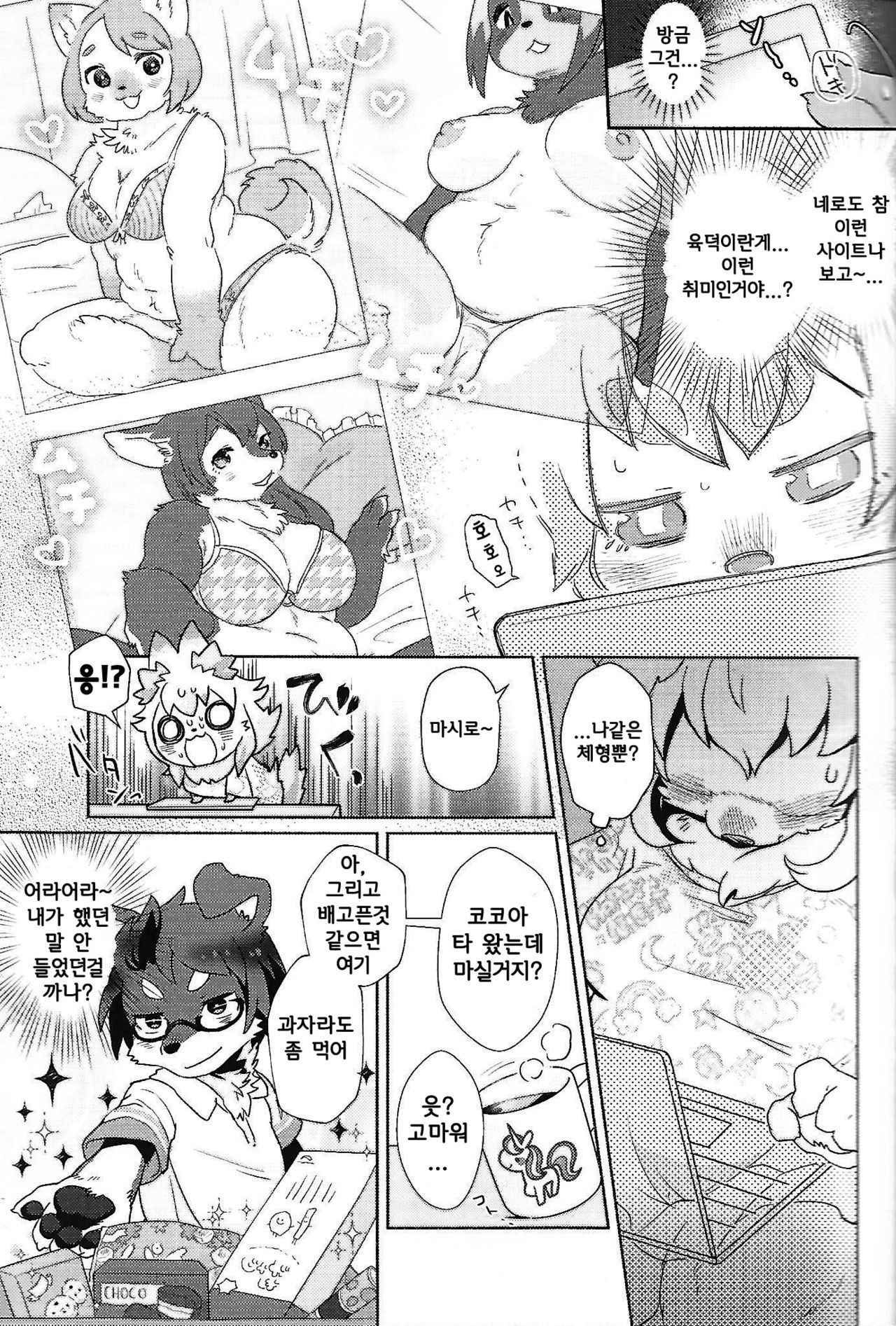 (Kemoket 6) [moffle (mabo)] fuwafuwa-marshmallow [Korean] [Team Human Trash]