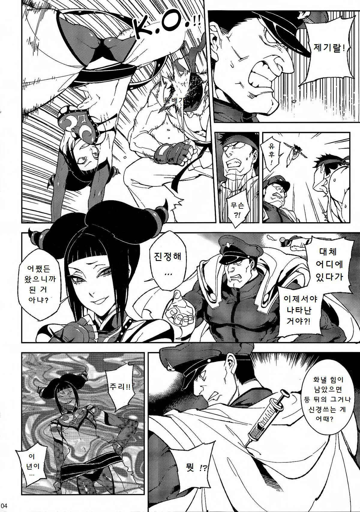 [Turtle.Fish.Paint (Hirame Sensei)] Lose Control (Street Fighter IV) [Korean]