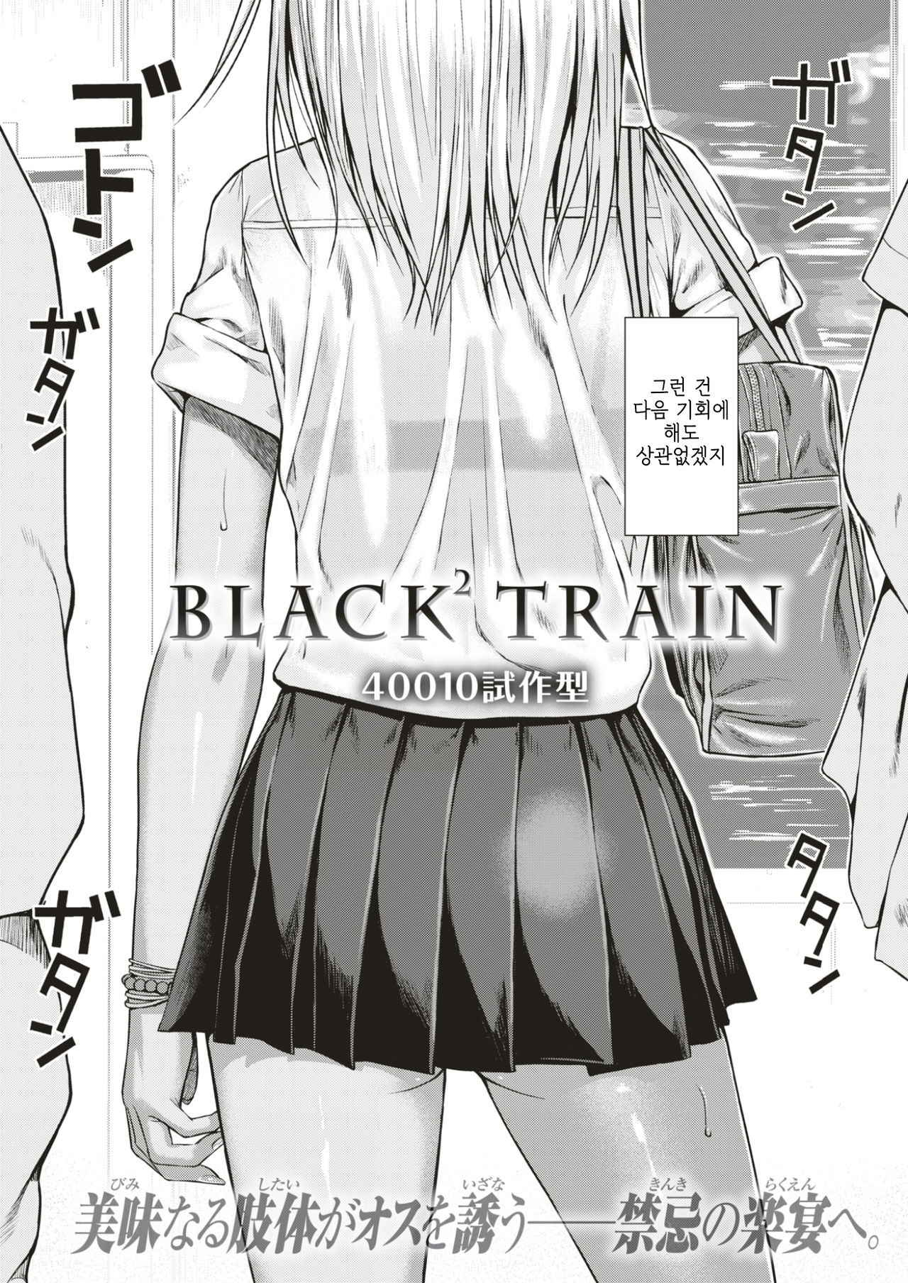 [Shimanto Shisakugata] Black² Train (COMIC Kairakuten 2017-05) [Korean] [Digital]