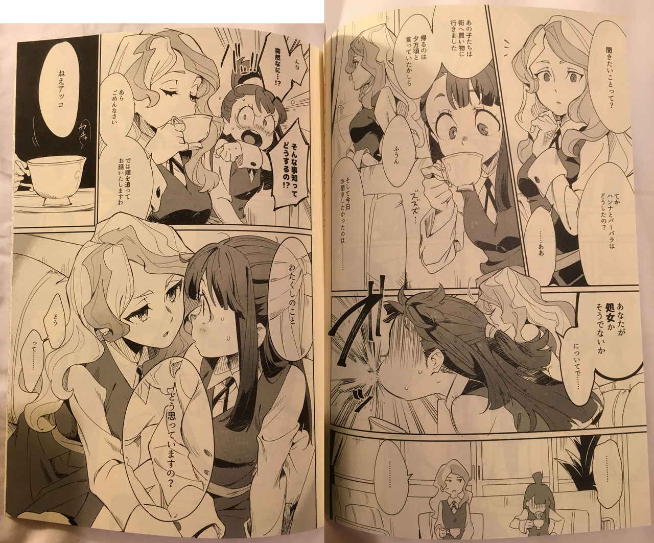 Littel Witch Academia Fanbook #1 (phone pics)