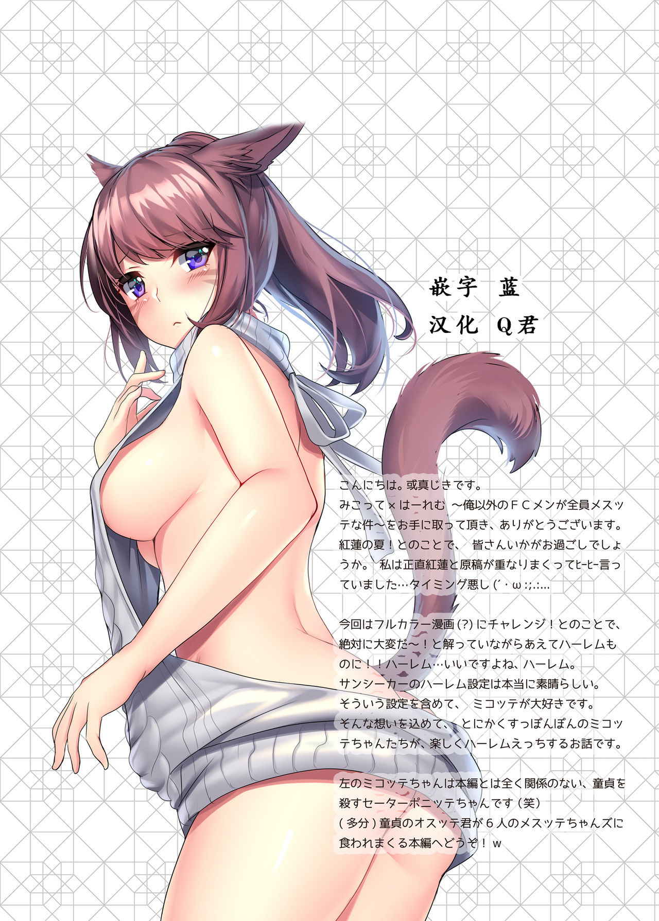 [lionoil (Arumajiki)] Miqo'te x Harem!! Ore igai no FC men ga zenin Mesu'te na ken (Final Fantasy XIV) [Chinese] [Digital]