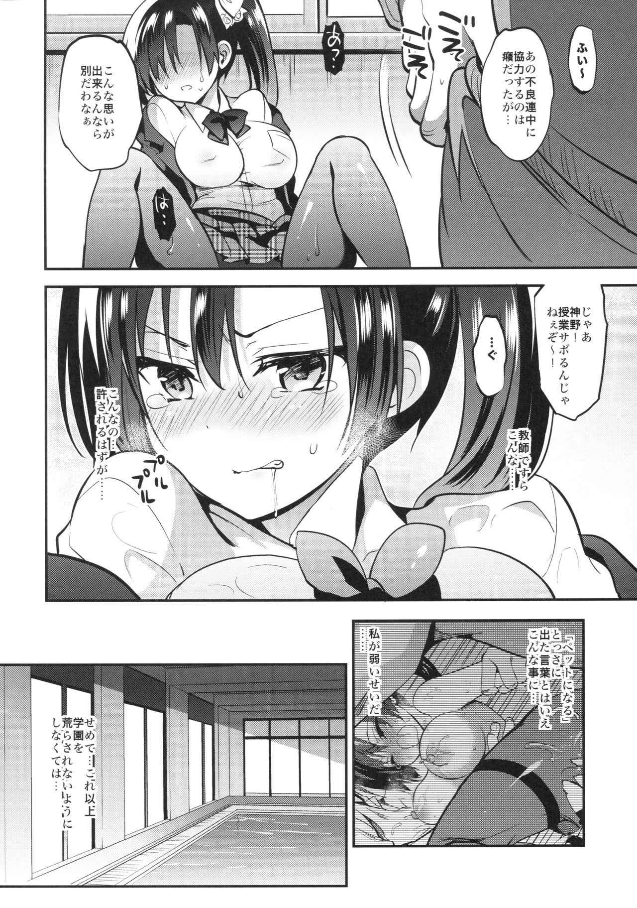 (C92) [OTOMEKIBUN (Sansyoku Amido.)] Gakkou de Seishun! 13