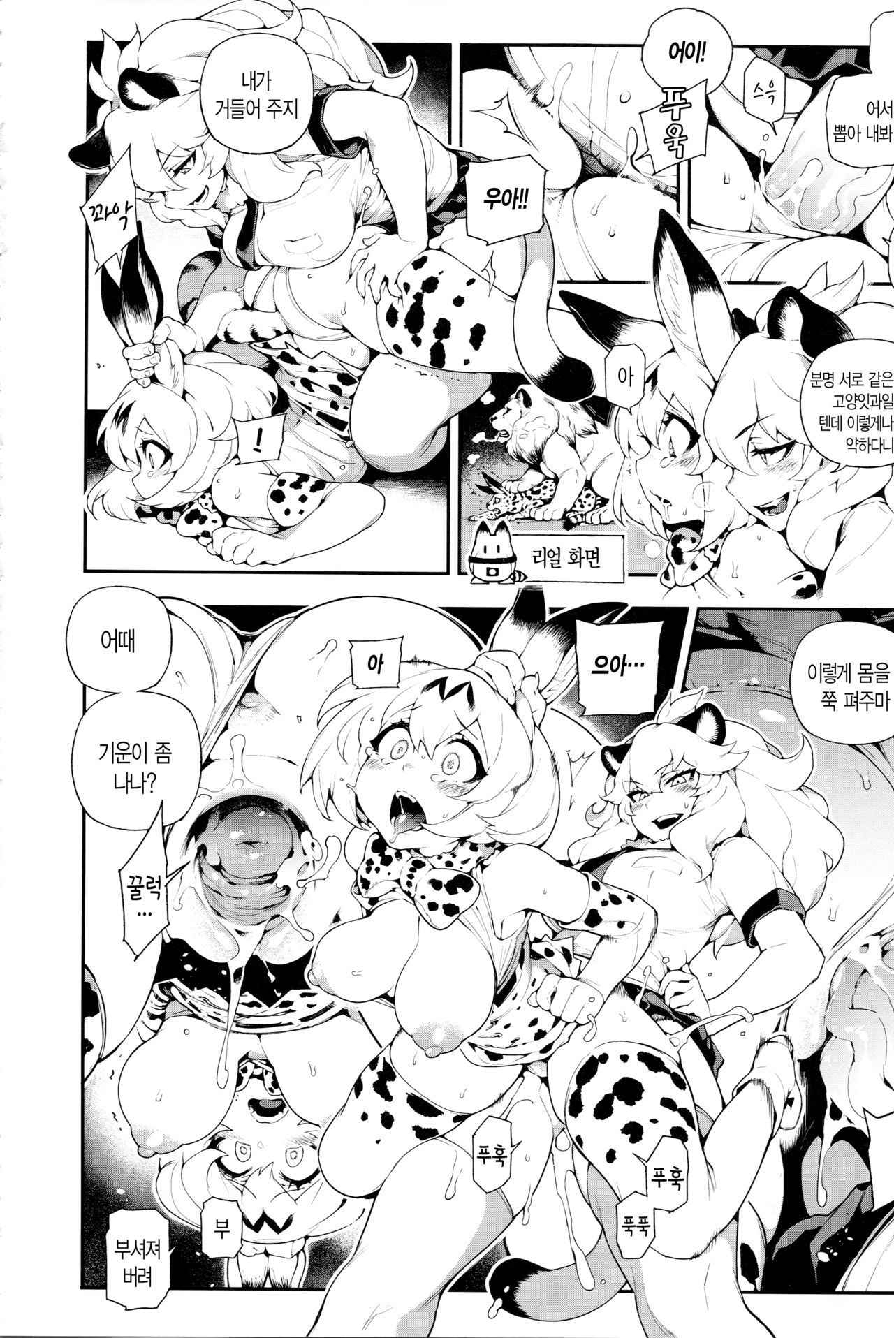 (FF30) [Bear Hand (Fishine, Ireading)] BEAST FRIENDS (Kemono Friends) [Korean]