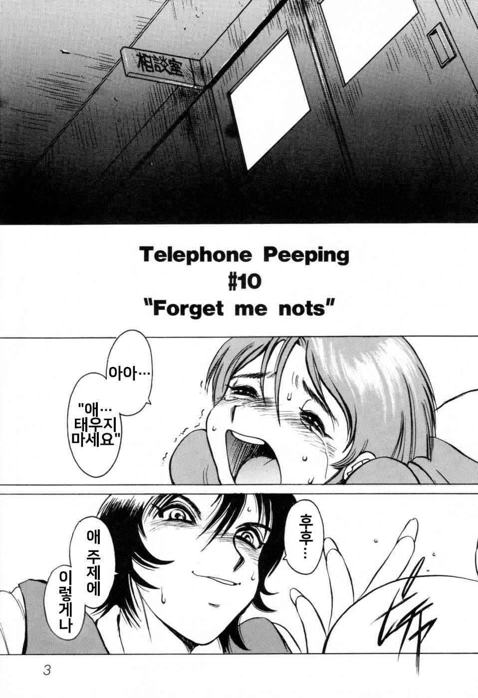 [Horimoto Akira] Telephone Peeping Vol.02 [Korean]